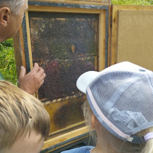Bei den Imkern