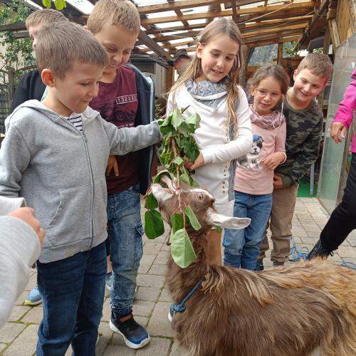 Allerhand "Tierisches"