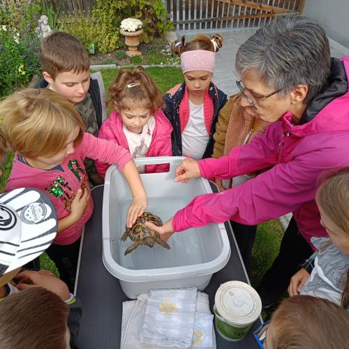 Allerhand "Tierisches"