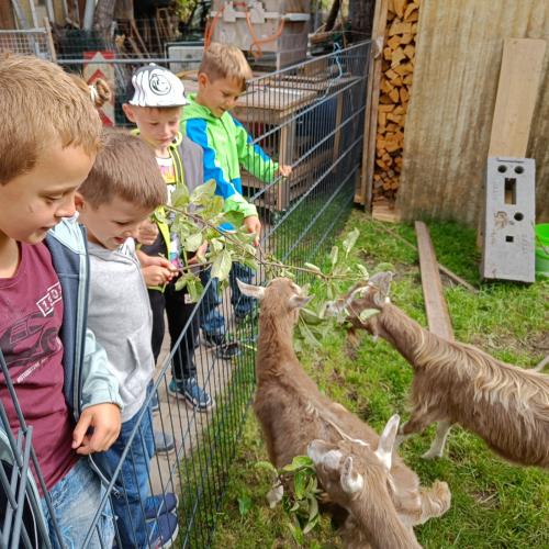 Allerhand "Tierisches"