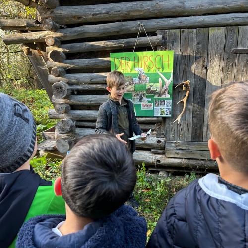 Referat über den Hirsch