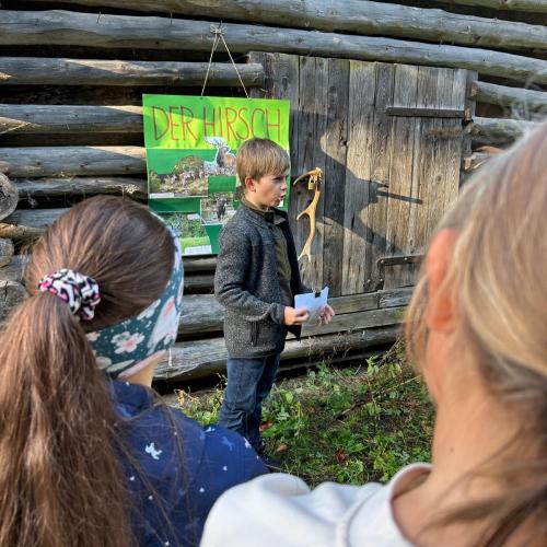 Referat über den Hirsch
