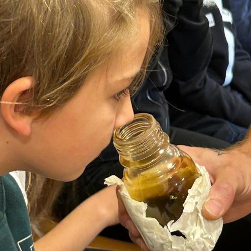 Umweltbildungsprogramm