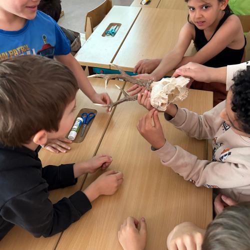 Jäger in der Schule