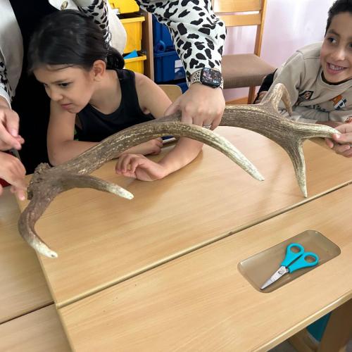 Jäger in der Schule