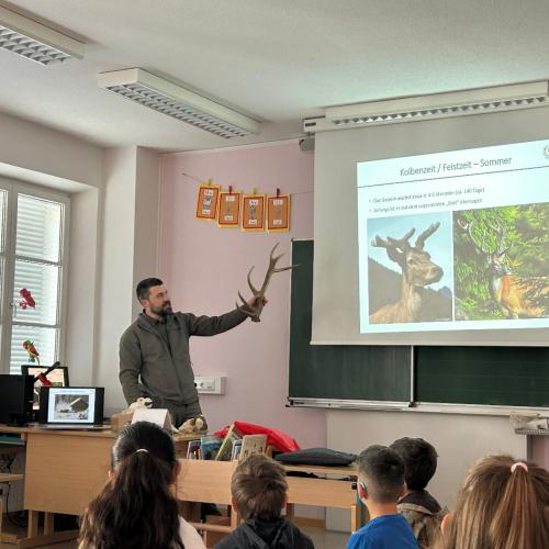 Jäger in der Schule