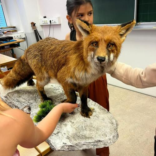 Jäger in der Schule