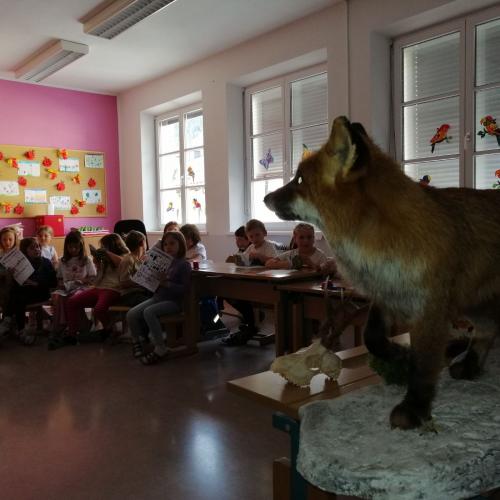 Jäger in der Schule