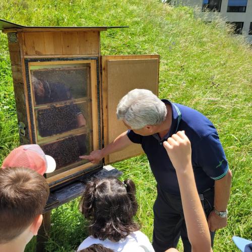 Bei den Imkern