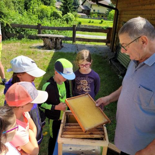 Bei den Imkern