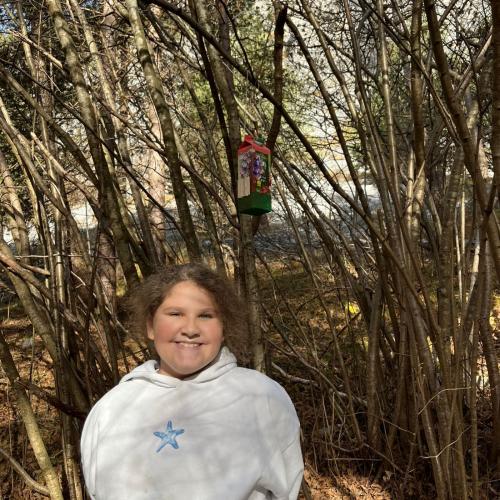 Vogelfutterhäuschen