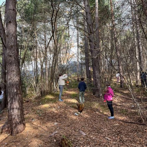 Vogelfutterhäuschen