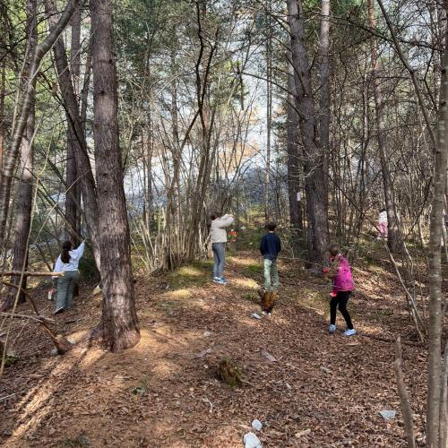 Vogelfutterhäuschen