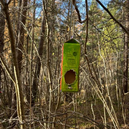 Vogelfutterhäuschen