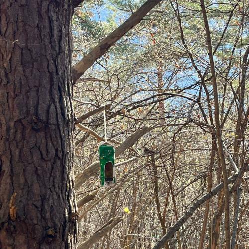 Vogelfutterhäuschen