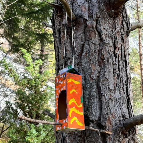 Vogelfutterhäuschen