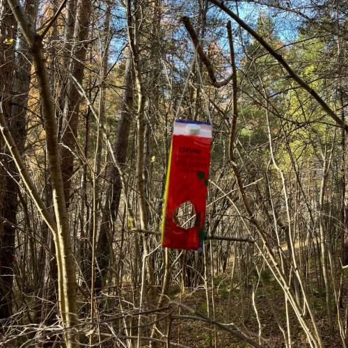 Vogelfutterhäuschen