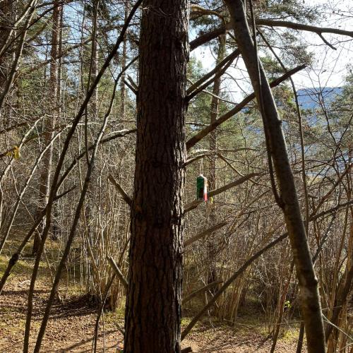 Vogelfutterhäuschen