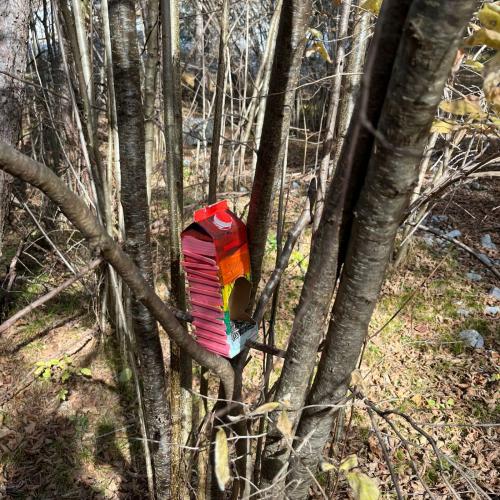 Vogelfutterhäuschen