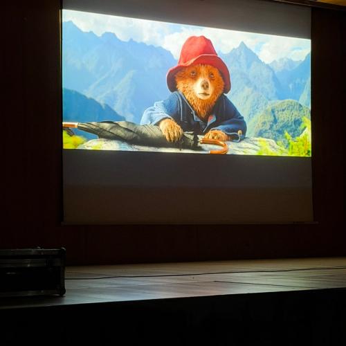Paddington in Peru