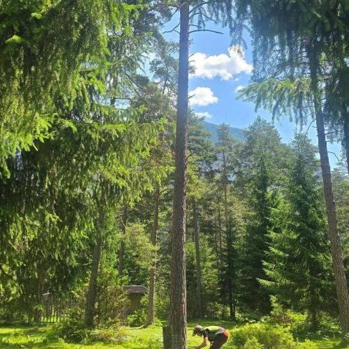 Waldtag
