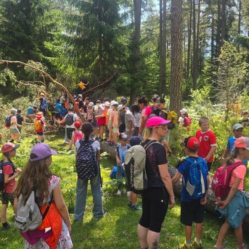 Waldtag