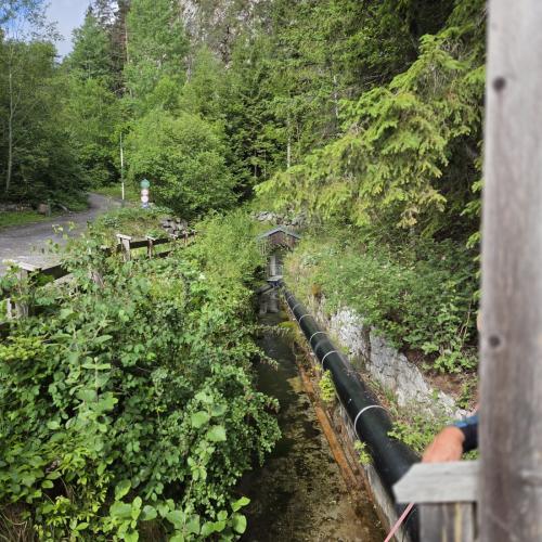 Wasserbeschau