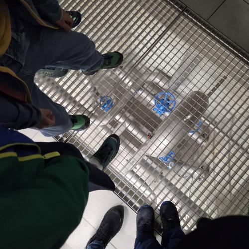 Wasserbeschau