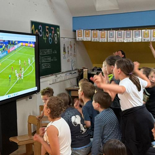 Public viewing