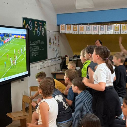 Public viewing