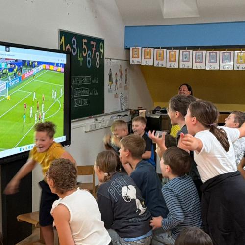 Public viewing