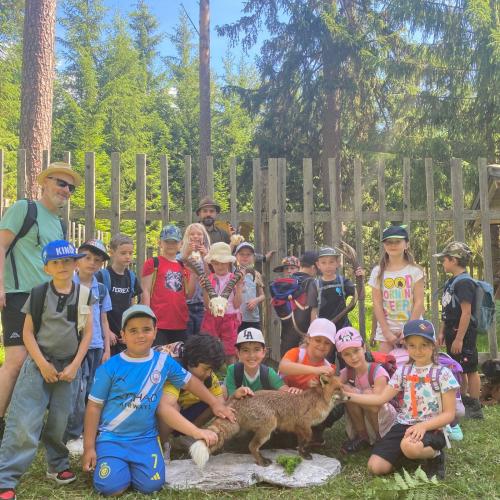 Waldtag