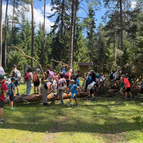 Waldtag