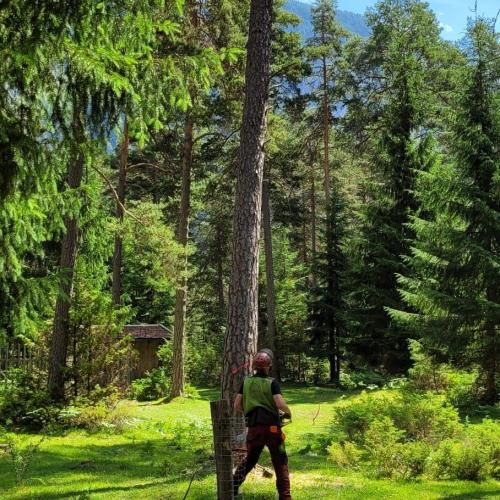Waldtag