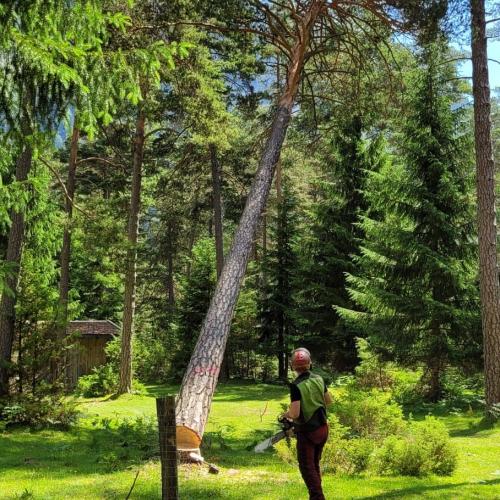 Waldtag