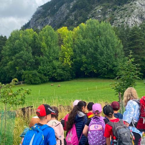 Ausflüge
