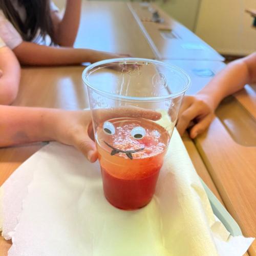Experimente