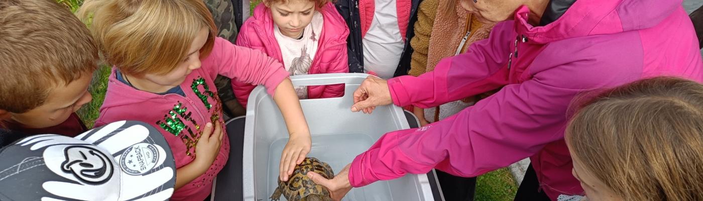 Allerhand "Tierisches"