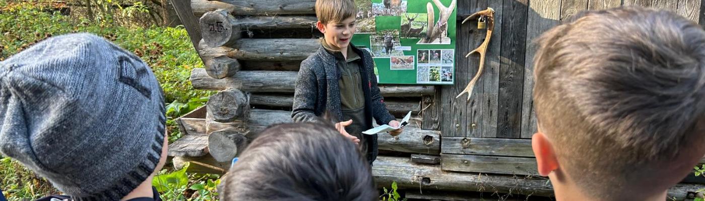 Referat über den Hirsch