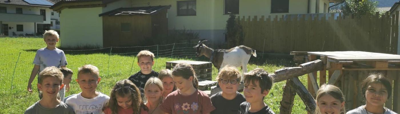 Bei dia Goaß