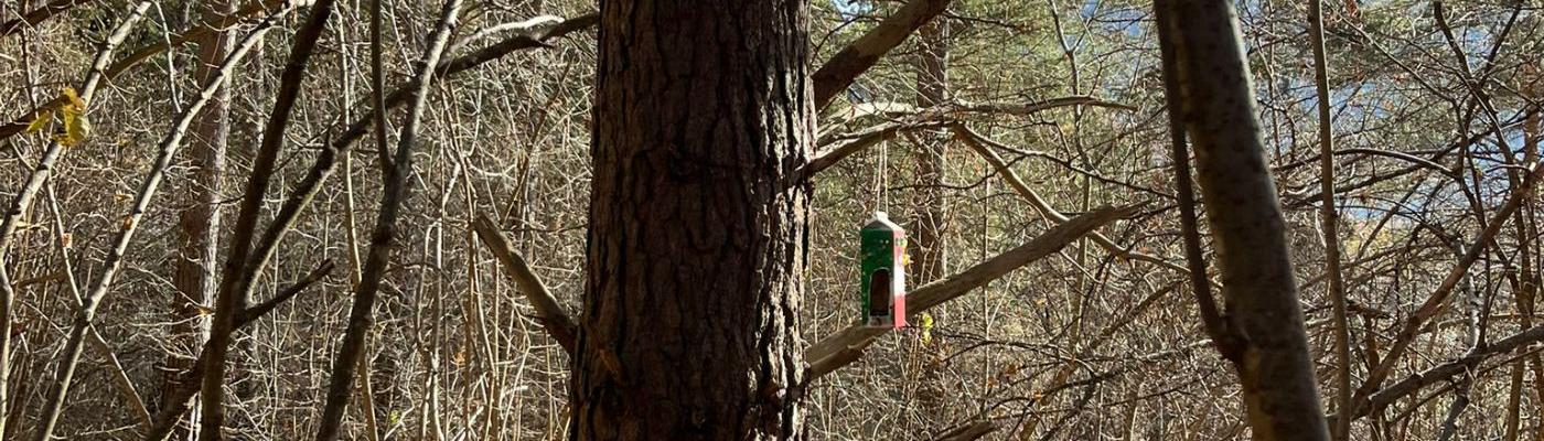 Vogelfutterhäuschen